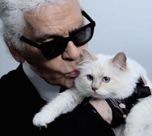 Karl Lagerfeld’s Cat Probably Makes More Than You
