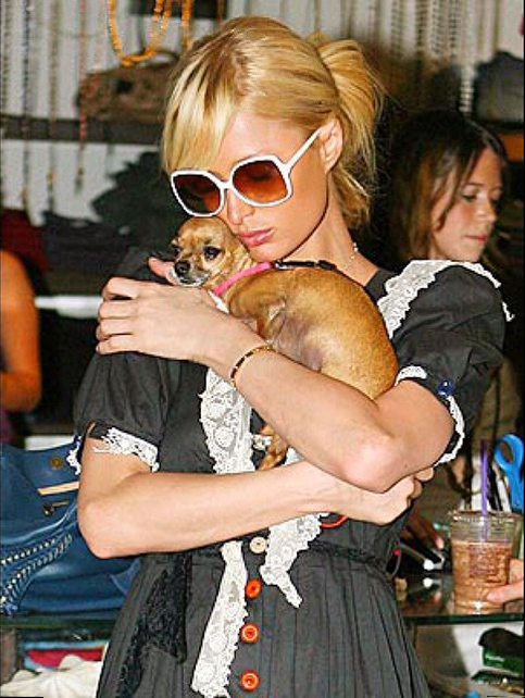 Paris Hilton’s Dog Tinkerbell Dies